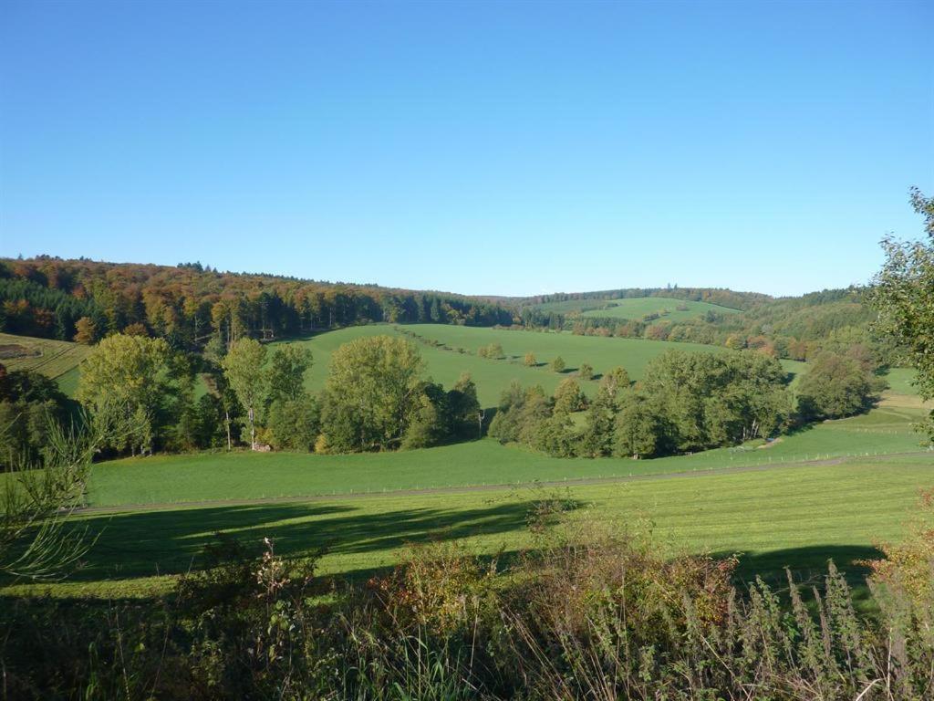 Isi-Hof Villa Schonfeld  Kültér fotó